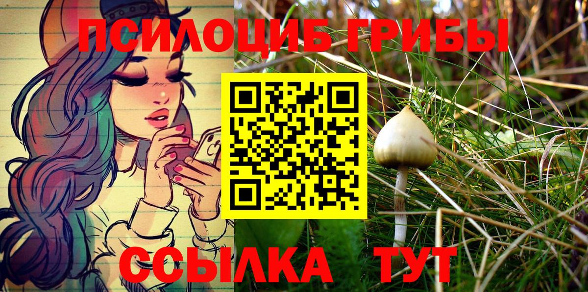 Омск  Псилоцибиновые грибы ЛСД  Вход с VPN 
