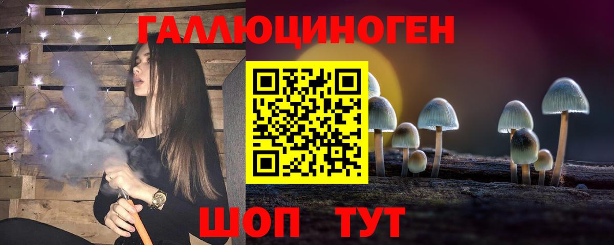Галлюциногенные грибы Psilocybine cubensis Омск